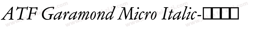 ATF Garamond Micro Italic字体转换